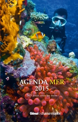 AGENDA MER 2015
