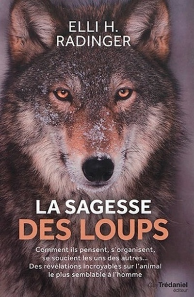 SAGESSE DES LOUPS (LA)