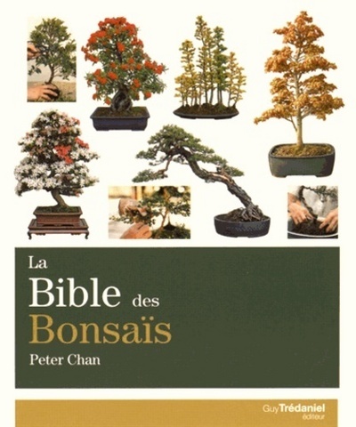 BIBLE DU BONSAIS (LA)