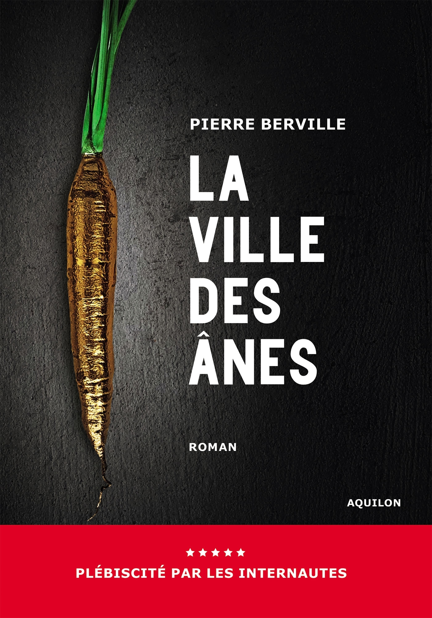 VILLE DES ANES