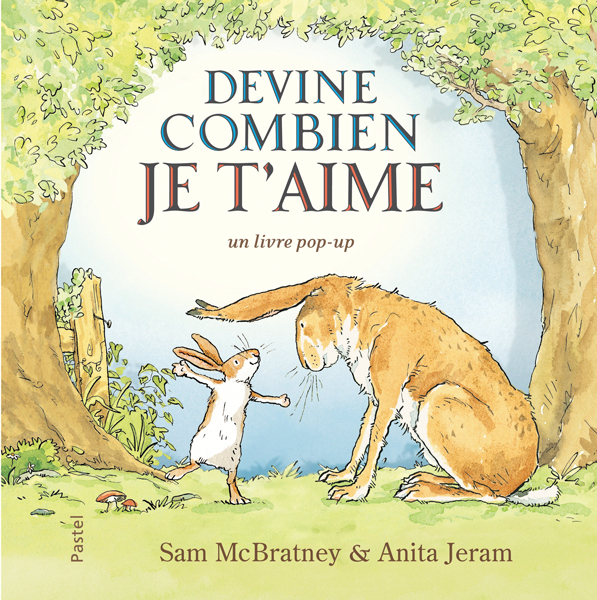 DEVINE COMBIEN JE T AIME - POP UP