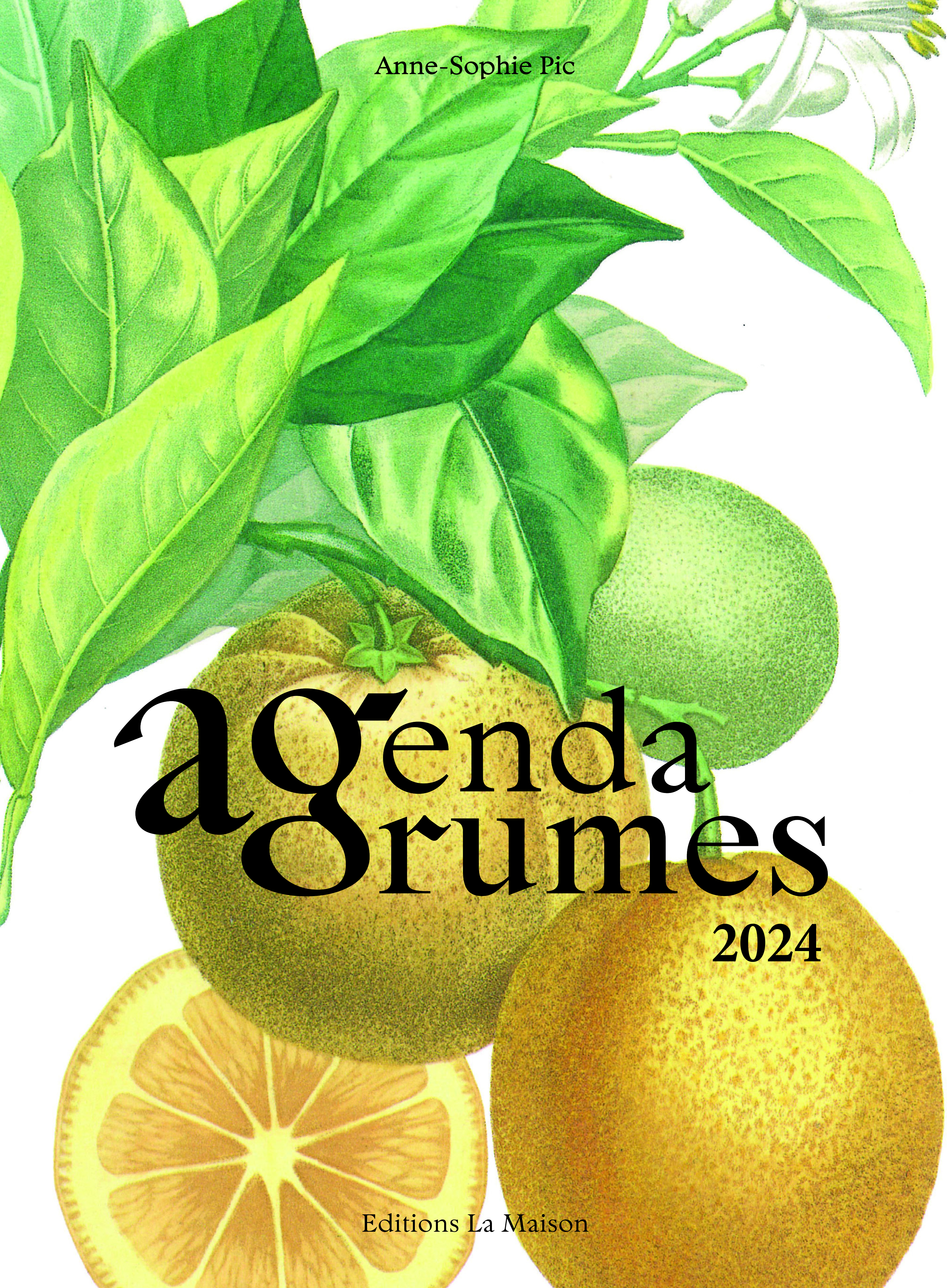 AGENDA AGRUMES 2024