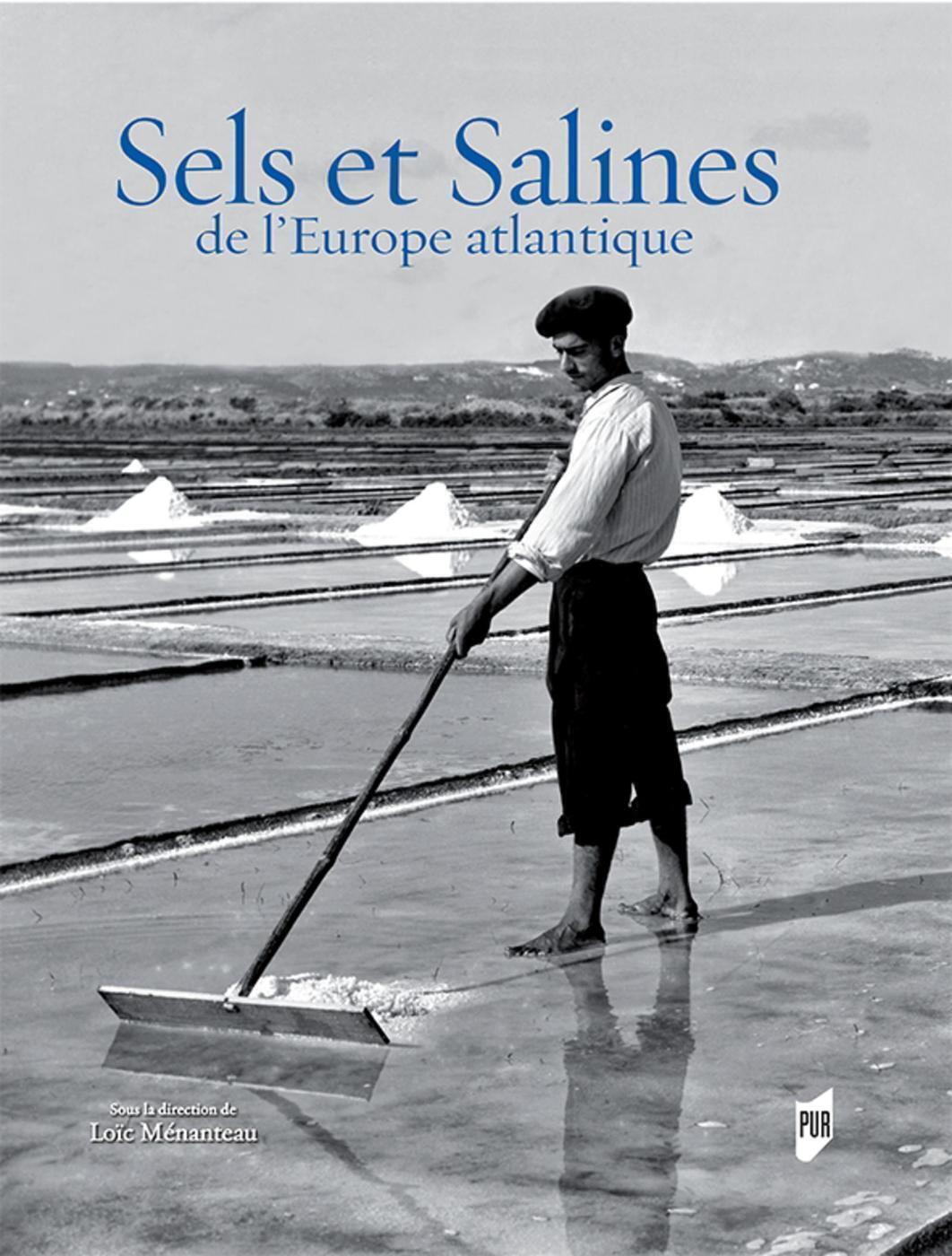 SELS ET SALINES DE L EUROPE ATLANTIQUE