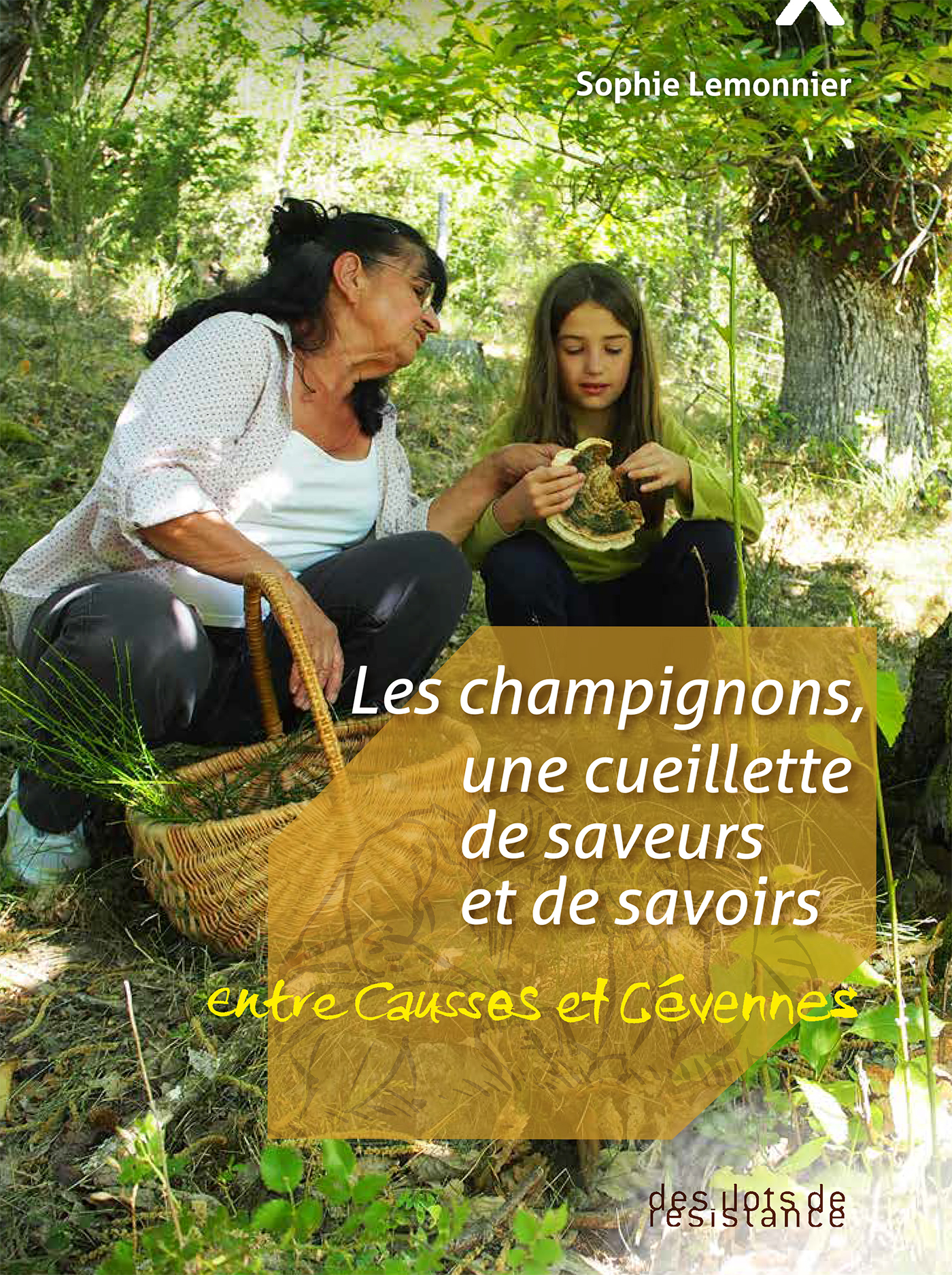 CHAMPIGNONS, UNE CUEILLETTE DE SAVOIRS ET DE SAVEURS - ENTRE CAUSSE ET