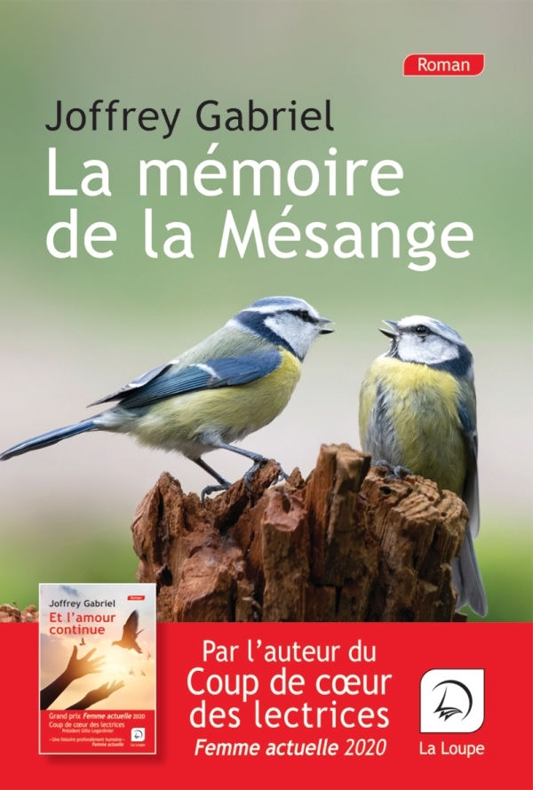 MEMOIRE DE LA MESANGE
