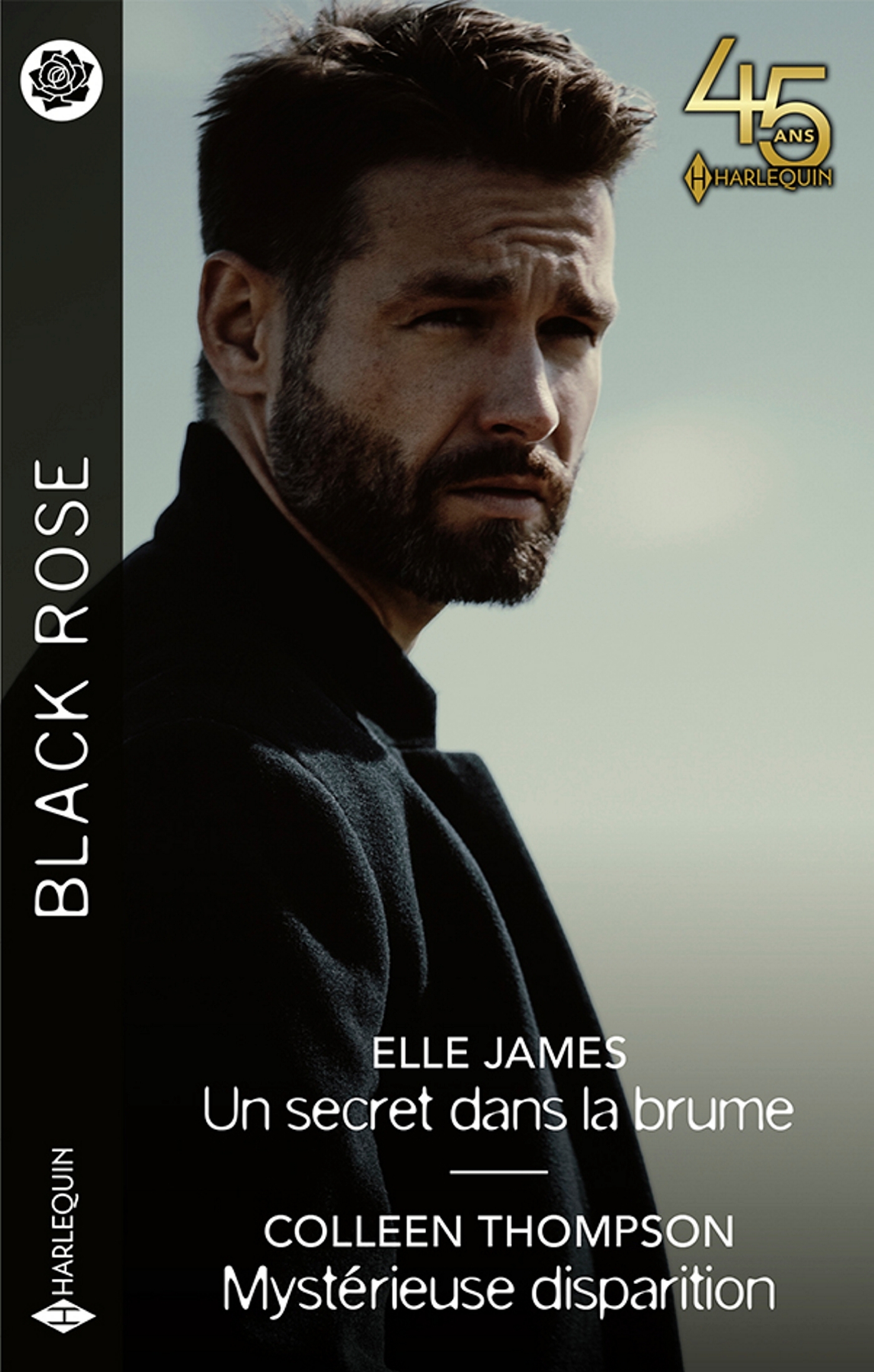SECRET DANS LA BRUME - MYSTERIEUSE DISPARITION