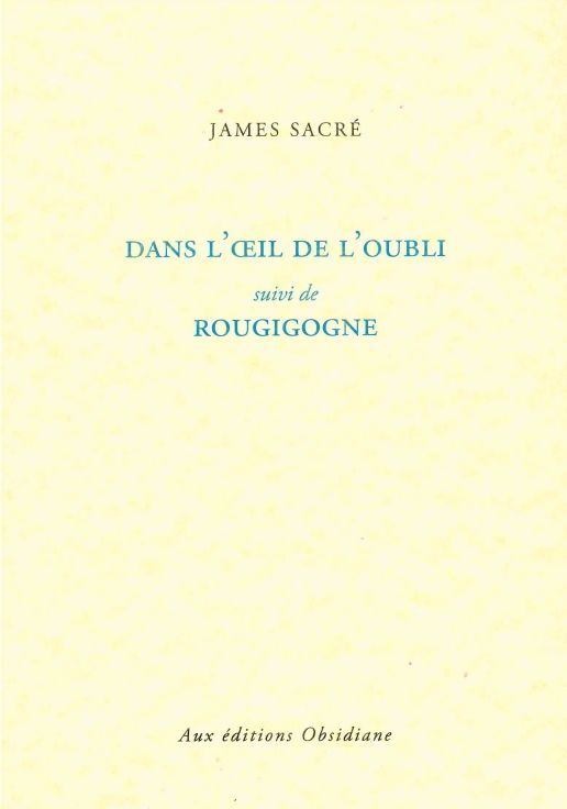 DANS L´OEIL DE L´OUBLI