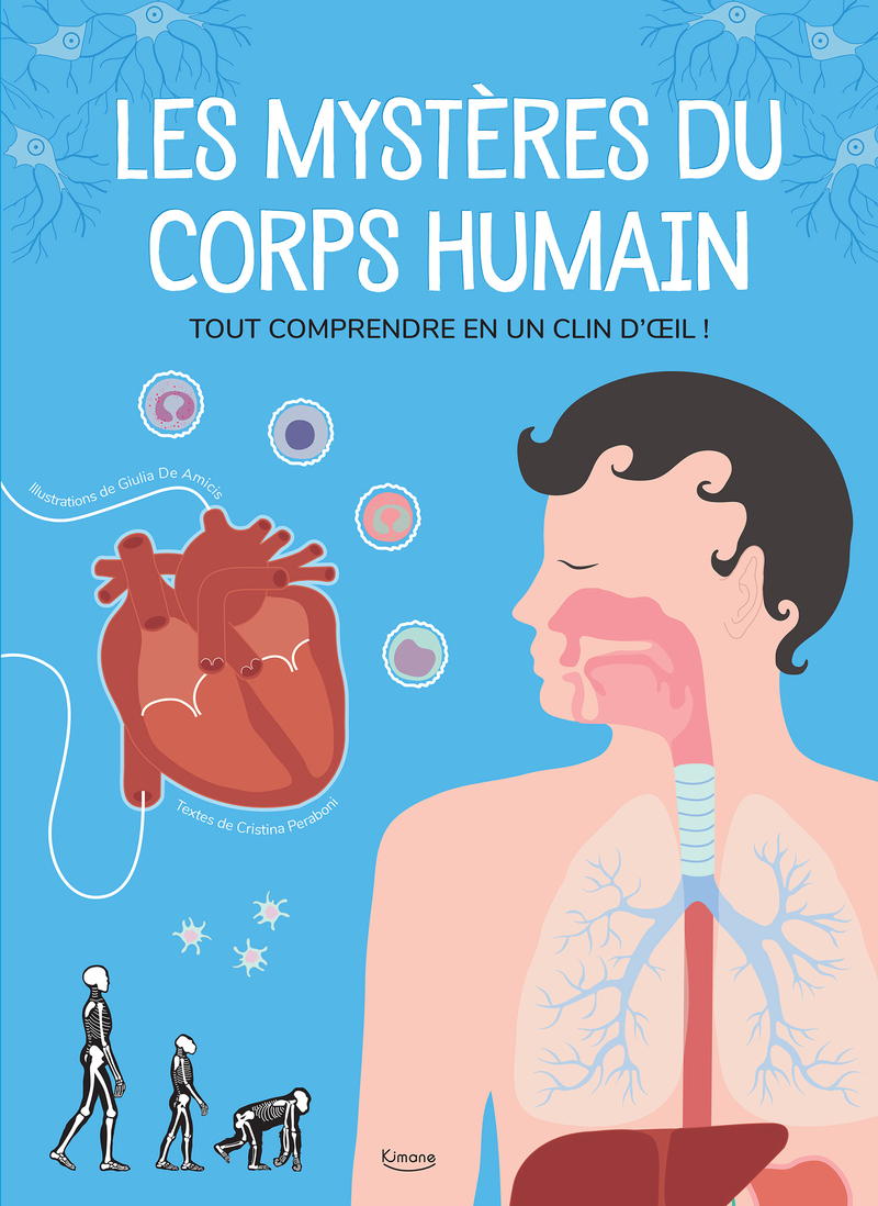 MYSTERES DU CORPS HUMAIN - TOUT COMPRENDRE EN UN CLIN D´OIL !