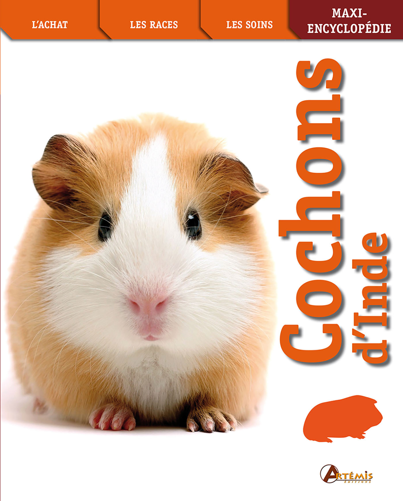 COCHONS D INDE - MAXI ENCYCLOPEDIE