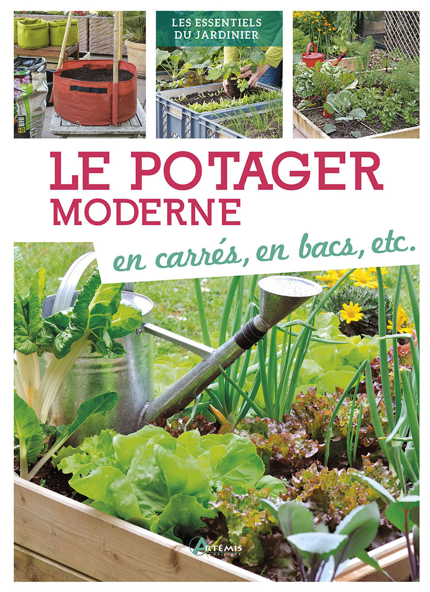 POTAGER MODERNE EN CARRES EN BACS ETC