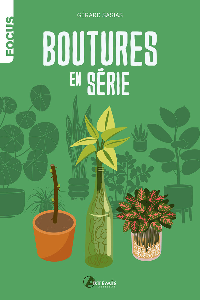BOUTURES EN SERIE