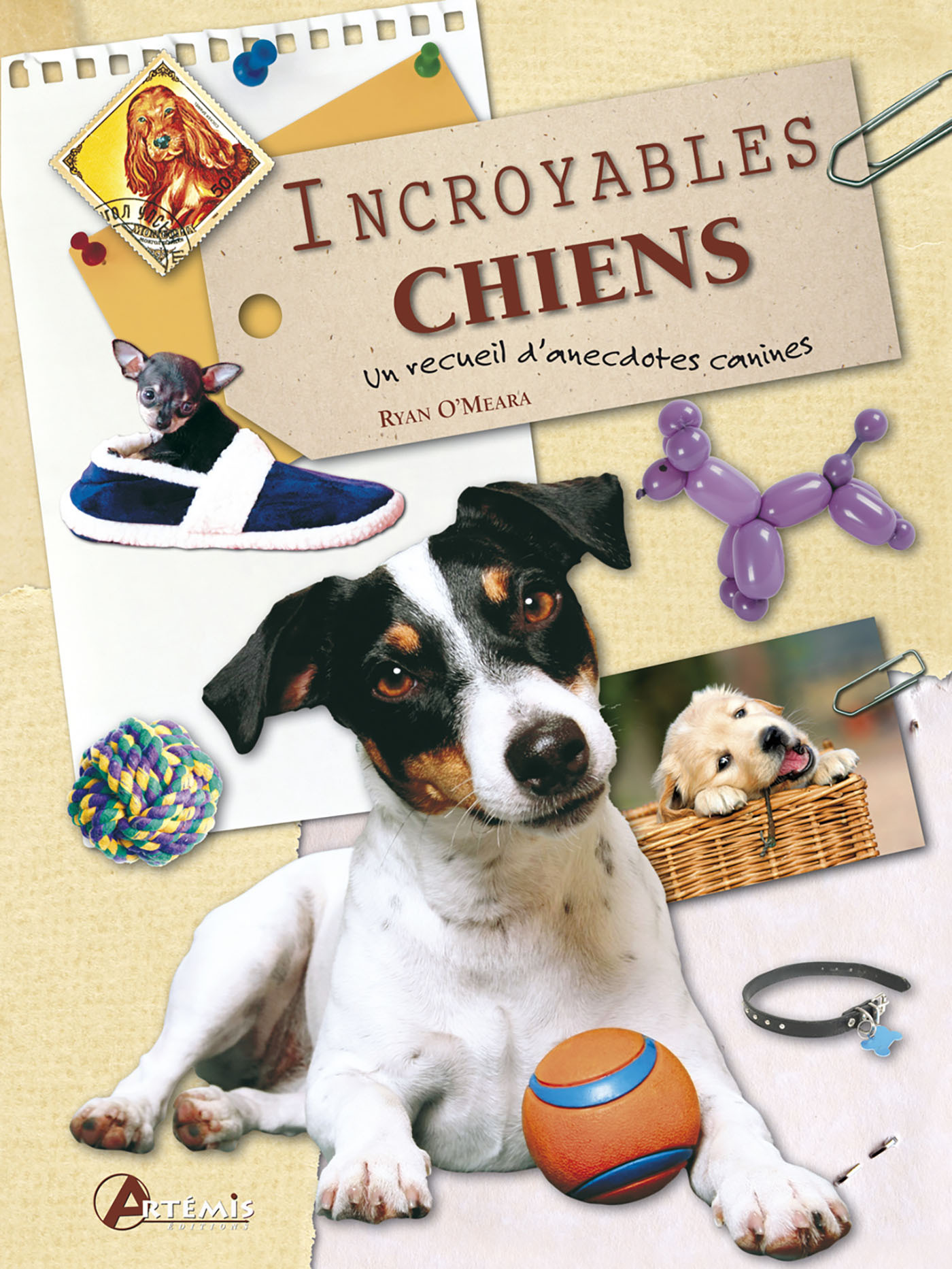 INCROYABLES CHIENS