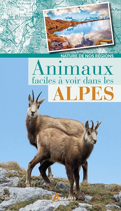 ANIMAUX FACILES A VOIR DANS LES ALPES