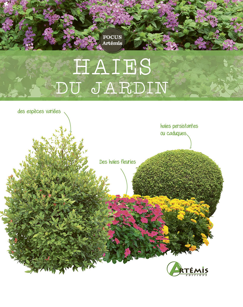 HAIES DU JARDIN