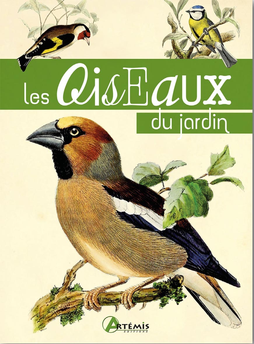 OISEAUX DU JARDIN