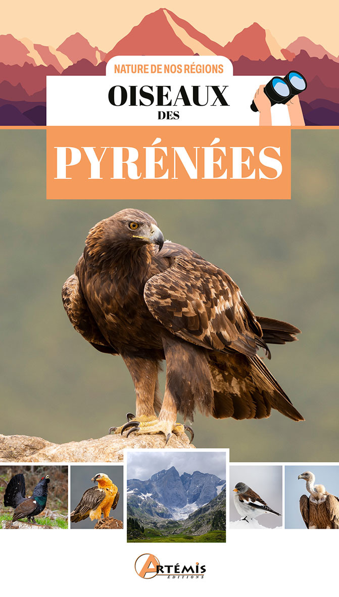 OISEAUX DES PYRENEES