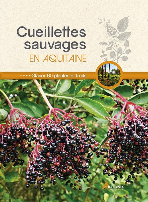 CUEILLETTES SAUVAGES EN AQUITAINE