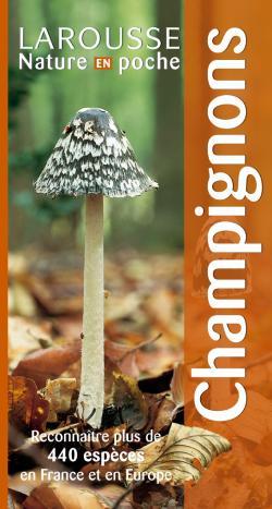 CHAMPIGNONS