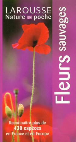 FLEURS SAUVAGES