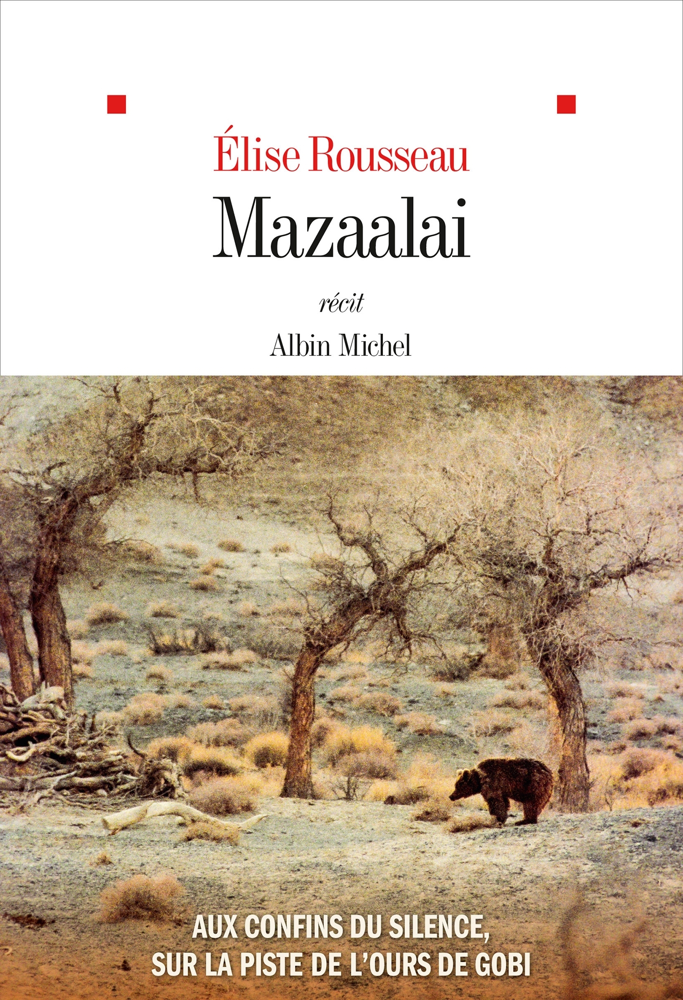 MAZAALAI - AUX CONFINS DU SILENCE, SUR LA PISTE DE L´OURS DE GOBI