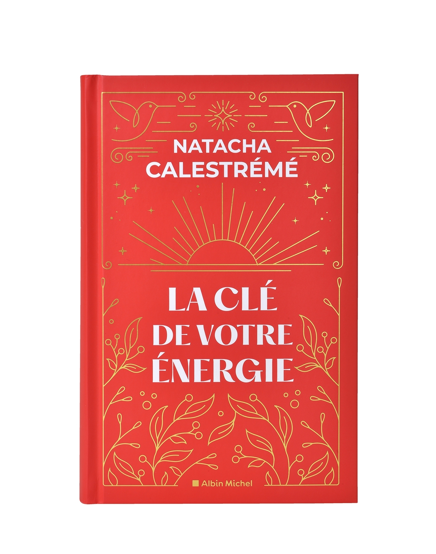 CLE DE VOTRE ENERGIE - EDITION COLLECTOR - 22 PROTOCOLES POUR VOUS LIBERER EMOTIONNELLEMENT
