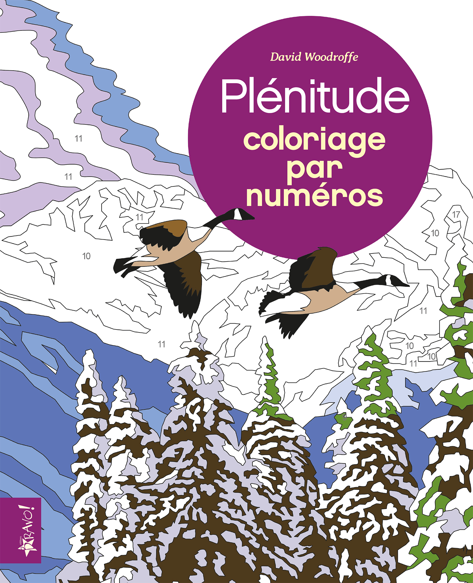 PLENITUDE - COLORIAGE PAR NUMEROS
