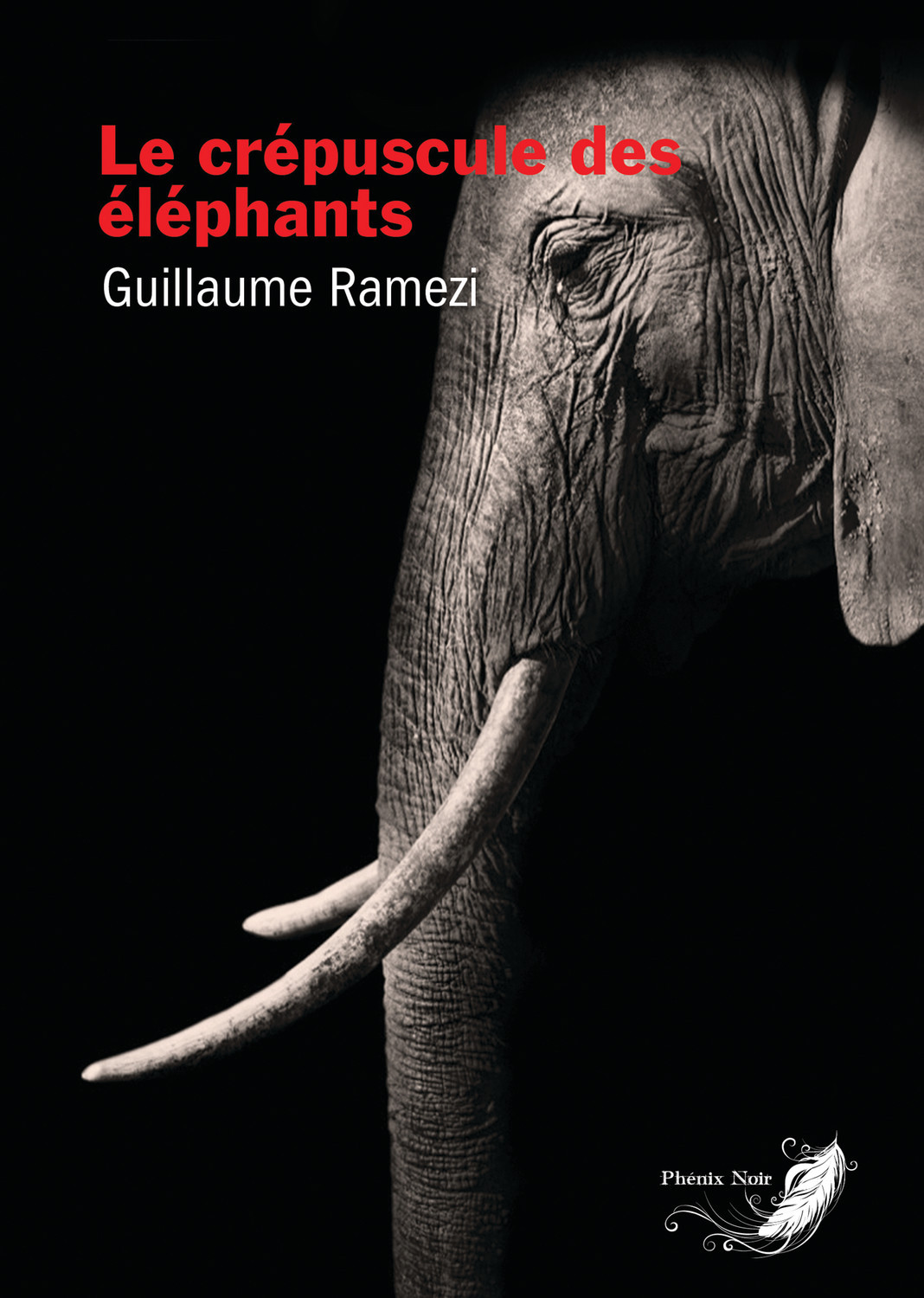 CREPUSCULE DES ELEPHANTS