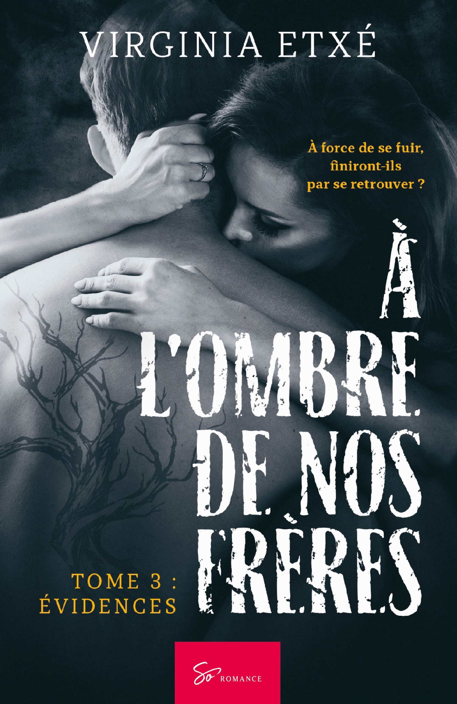 A L´OMBRE DE NOS FRERES - TOME 3 - EVIDENCES