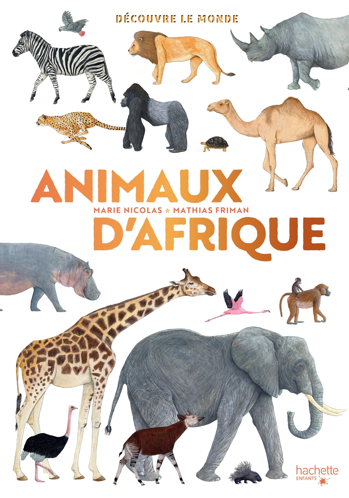 DECOUVRE LE MONDE - ANIMAUX D´AFRIQUE