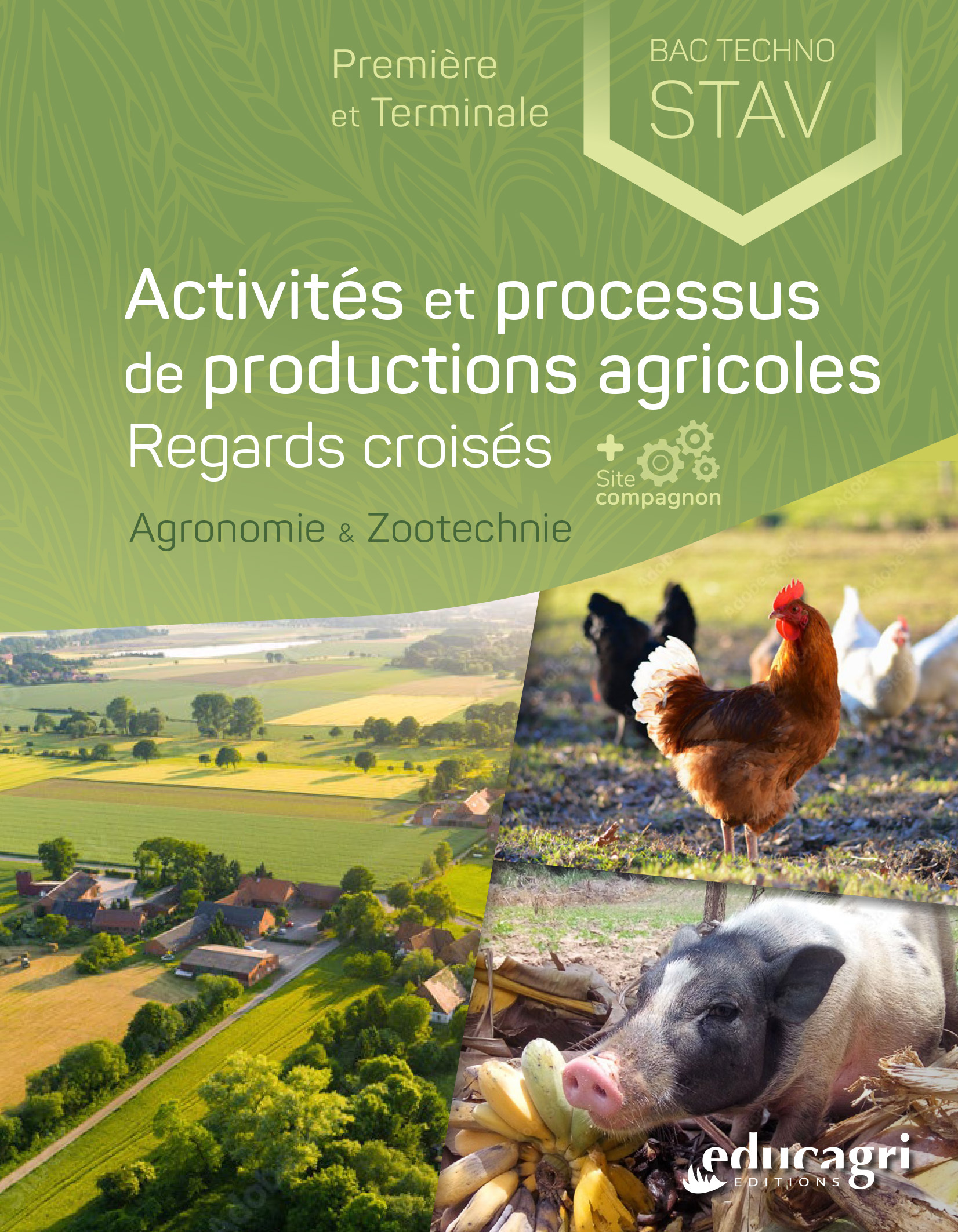 ACTIVITES ET PROCESSUS DE PRODUCTIONS AGRICOLES : REGARDS CROISES - BAC TECHNO STAV S3 ET S4 (1RE ET