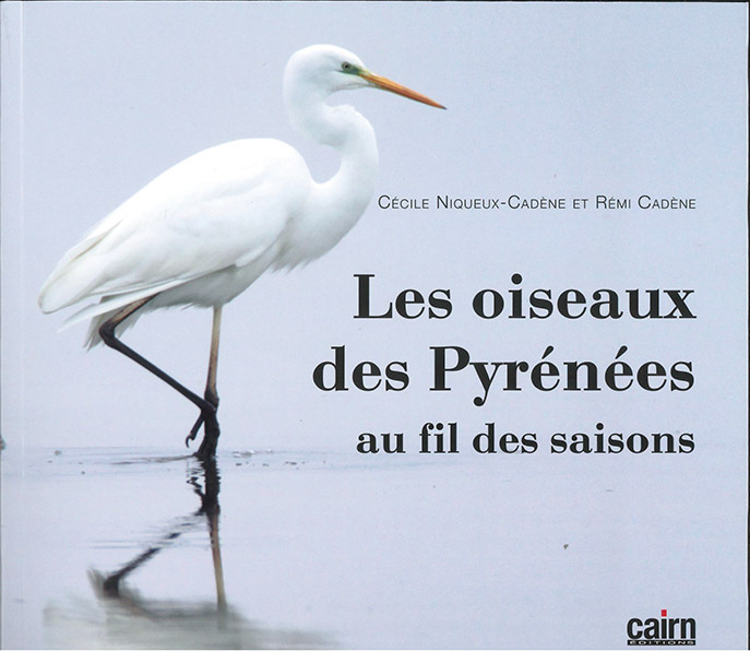 OISEAUX DES PYRENEES AU FIL DES SAISONS