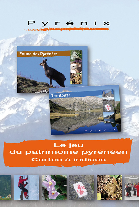 PYRENIX , JEU DU PATRIMOINE PYRENEEN - CARTES A INDICES