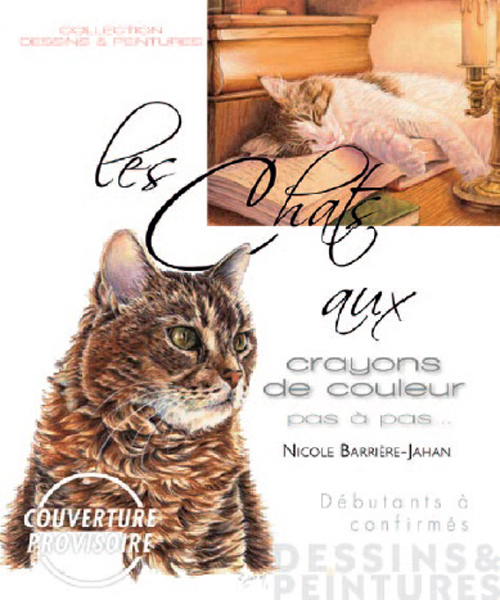 CHATS AUX CRAYONS DE COULEUR (PAS A PAS)