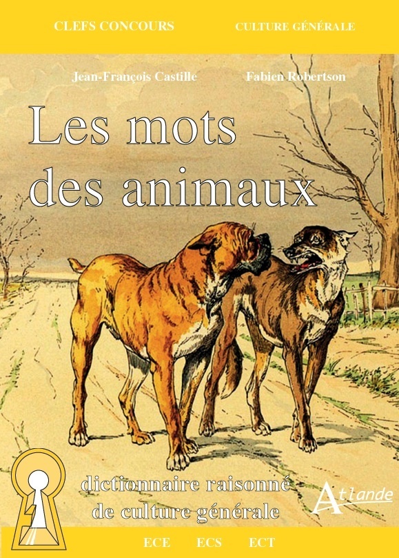 MOTS DES ANIMAUX - DICTIONNAIRE RAISONNE DE CULTURE GENERALE