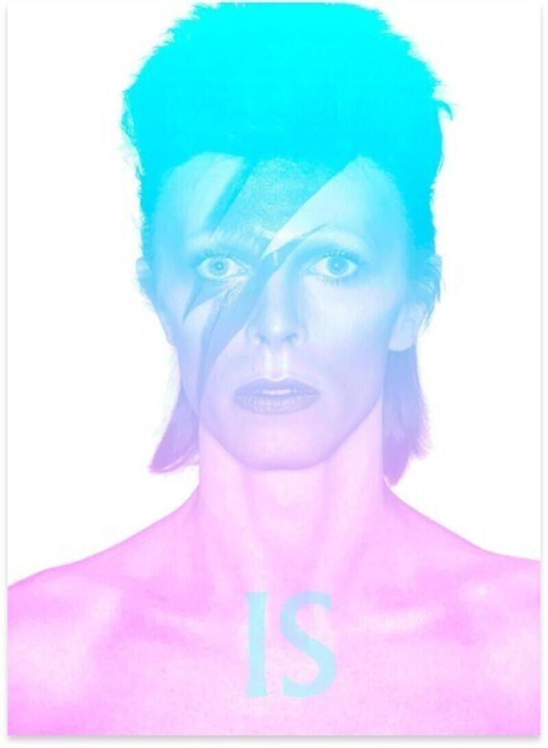 DAVID BOWIE IS