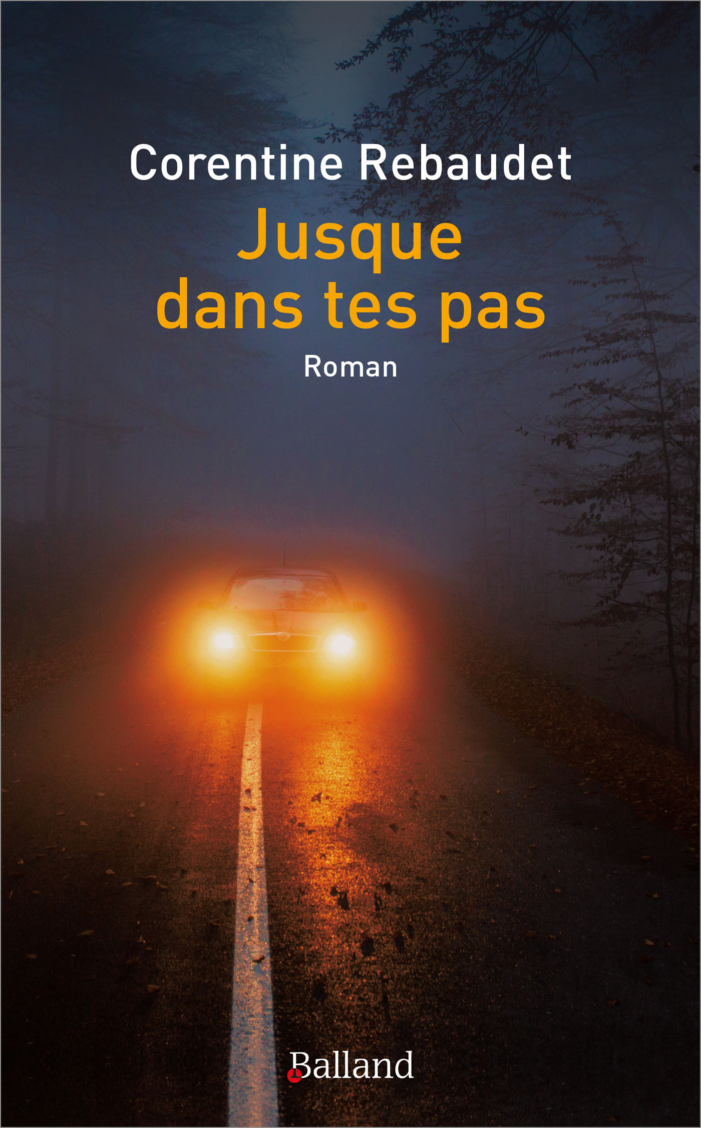 JUSQUE DANS TES PAS