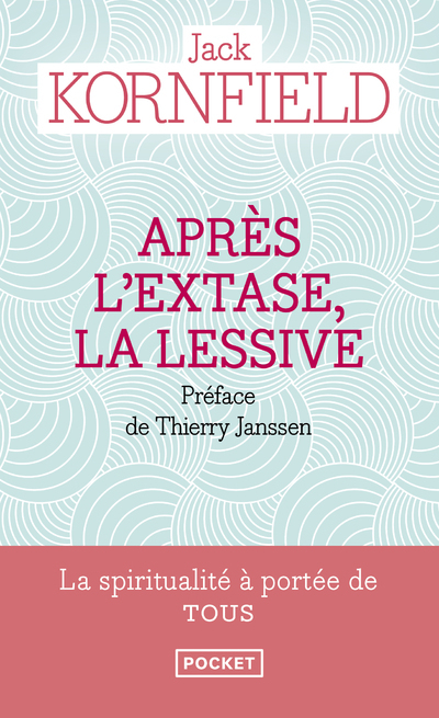 APRES L´EXTASE LA LESSIVE