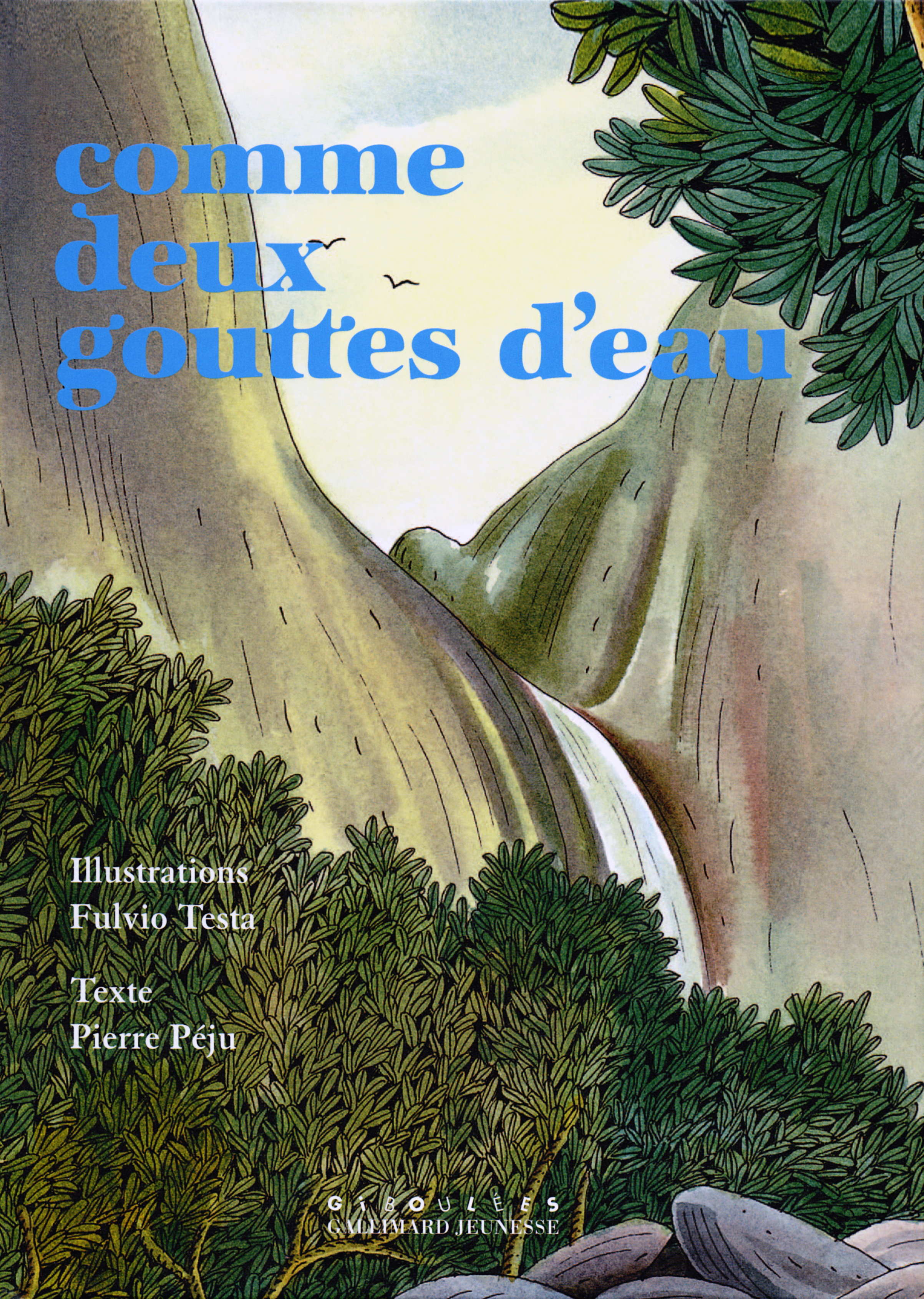 COMME DEUX GOUTTES D'EAU