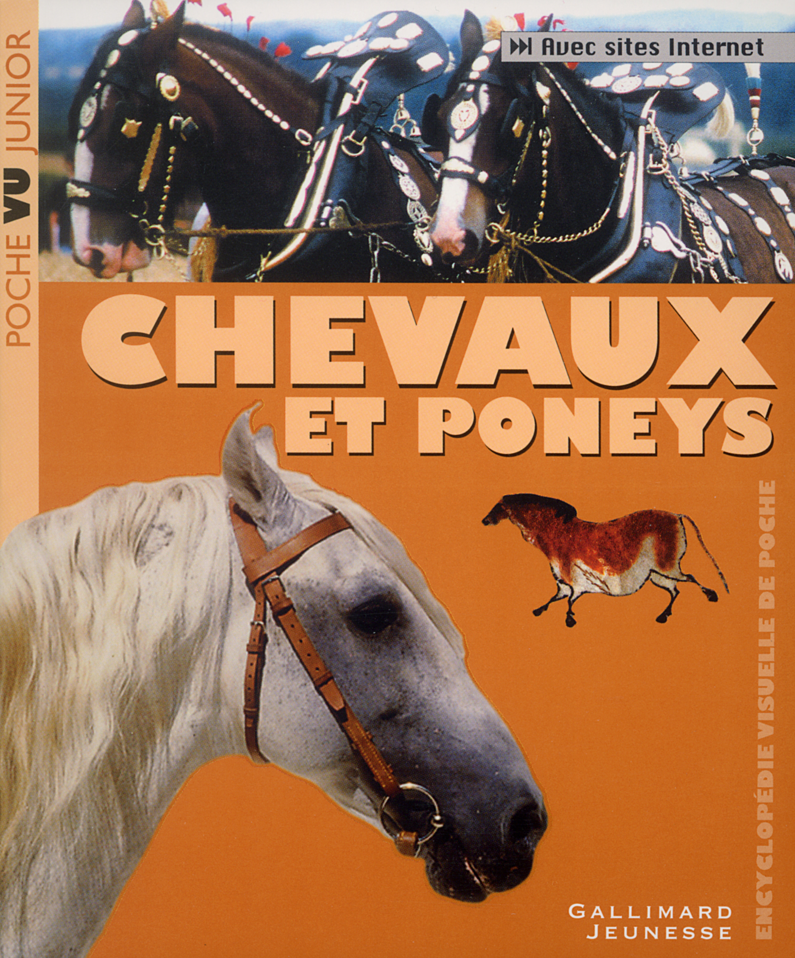 CHEVAUX ET PONEYS