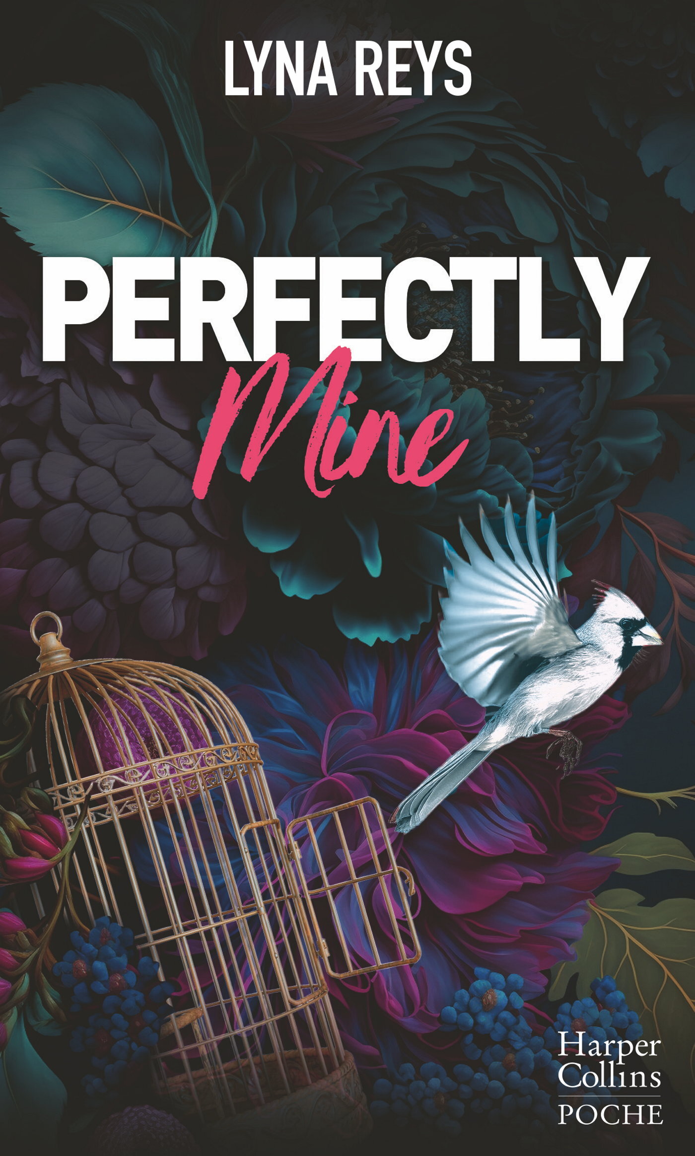 PERFECTLY MINE - EN AMOUR, TOUT N´EST PAS PARFAIT