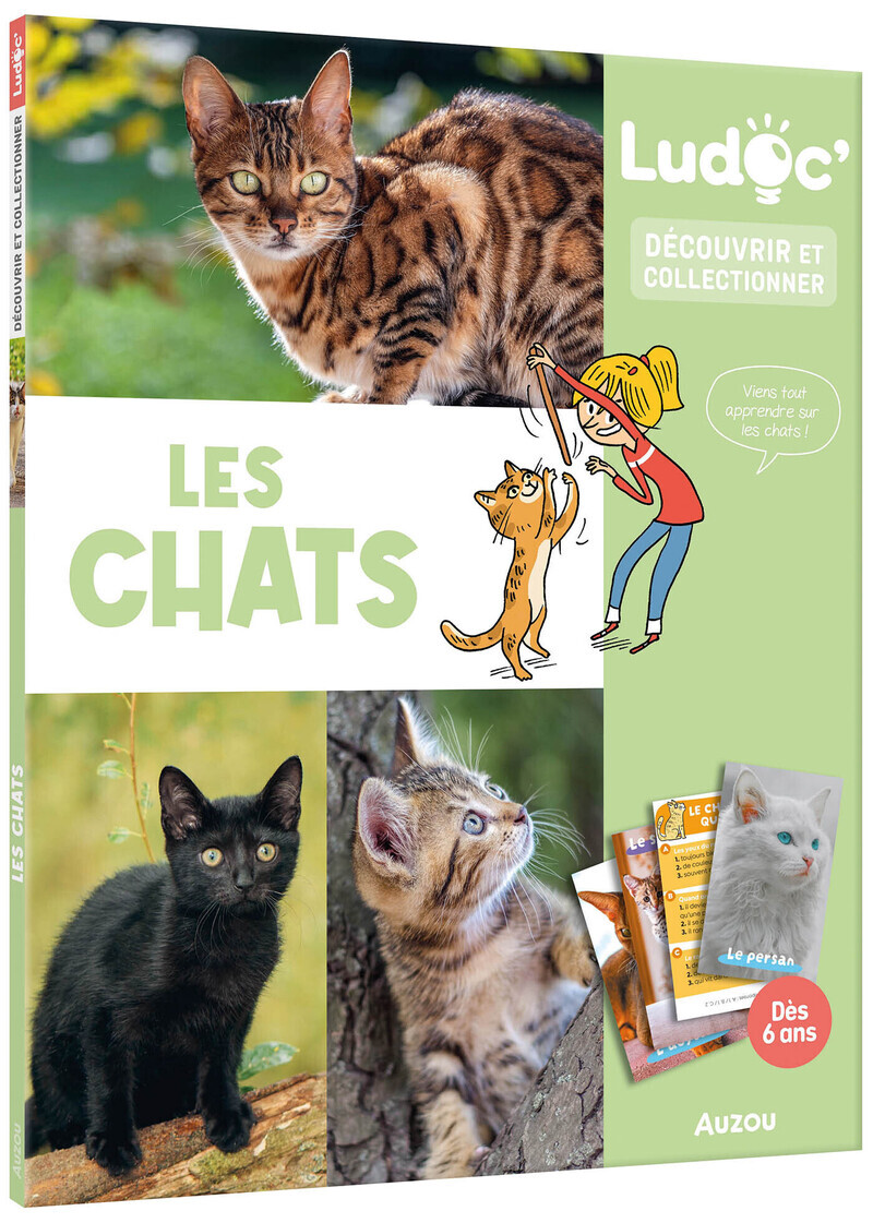 LES CHATS