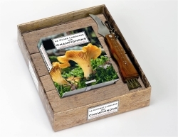 COFFRET GUIDE LAROUSSE DES CHAMPIGNONS