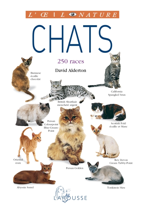 CHATS - NOUVELLE PRESENTATION
