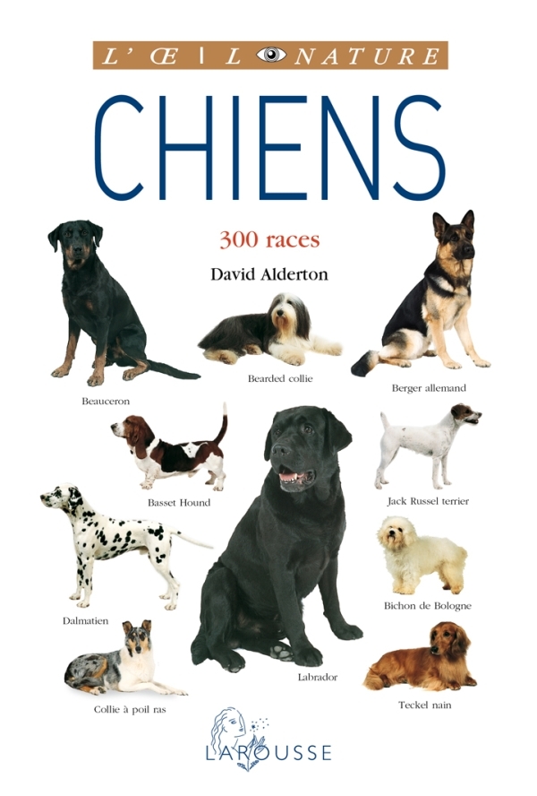 CHIENS - NOUVELLE PRESENTATION