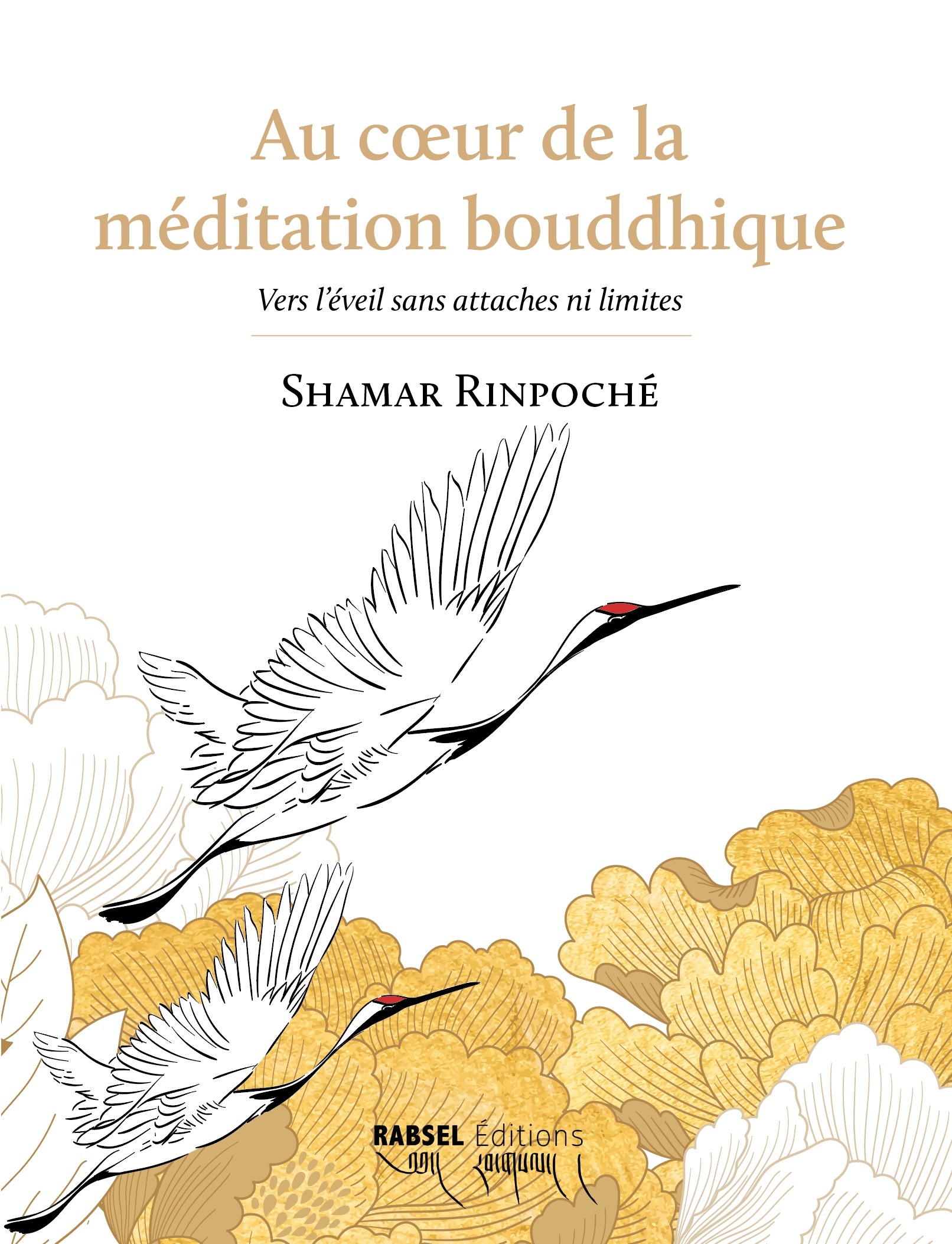 AU COEUR DE LA MEDITATION BOUDDHIQUE
