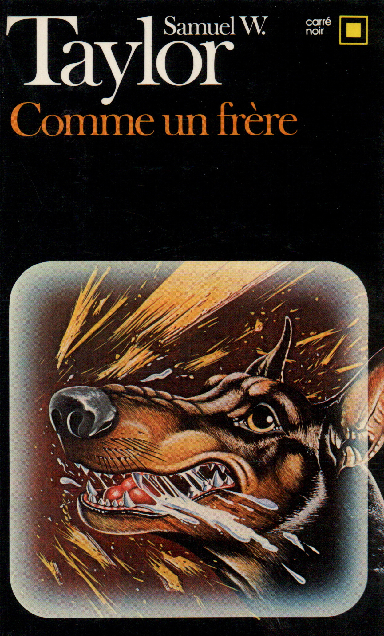 COMME UN FRERE(L'HOMME QUI AVAIT MON VISAGE)