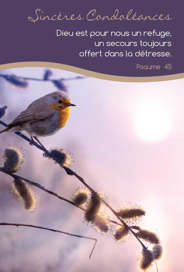 LOT DE 10 - CARTE DOUBLE SINCERES CONDOLEANCES - VENDU PAR LOT DE 10 EXEMPLAIRES
