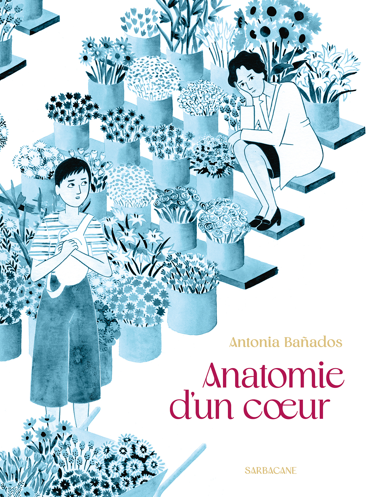 ANATOMIE D´UN COEUR