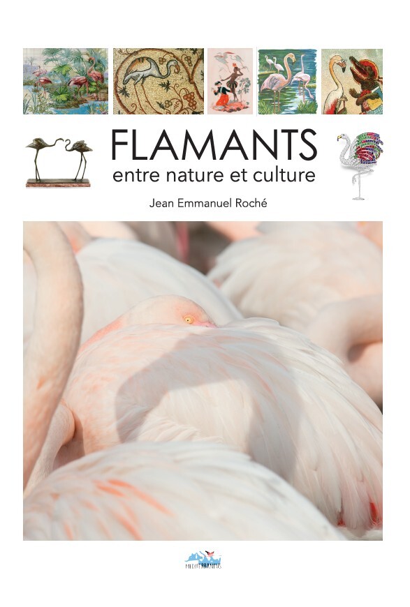 FLAMANT - ENTRE NATURE ET CULTURE