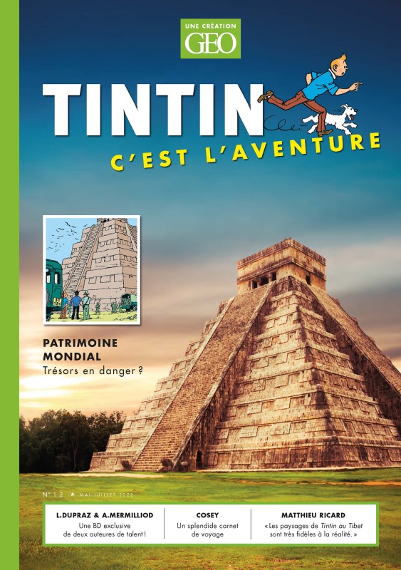 TINTIN - C´EST L´AVENTURE 12 - PATRIMOINE MONDIAL